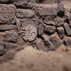 Imagen para el artículo titulado La razón por la que arqueólogos mexicanos han vuelto a enterrar la entrada a un túnel cubierto de símbolos aztecas
